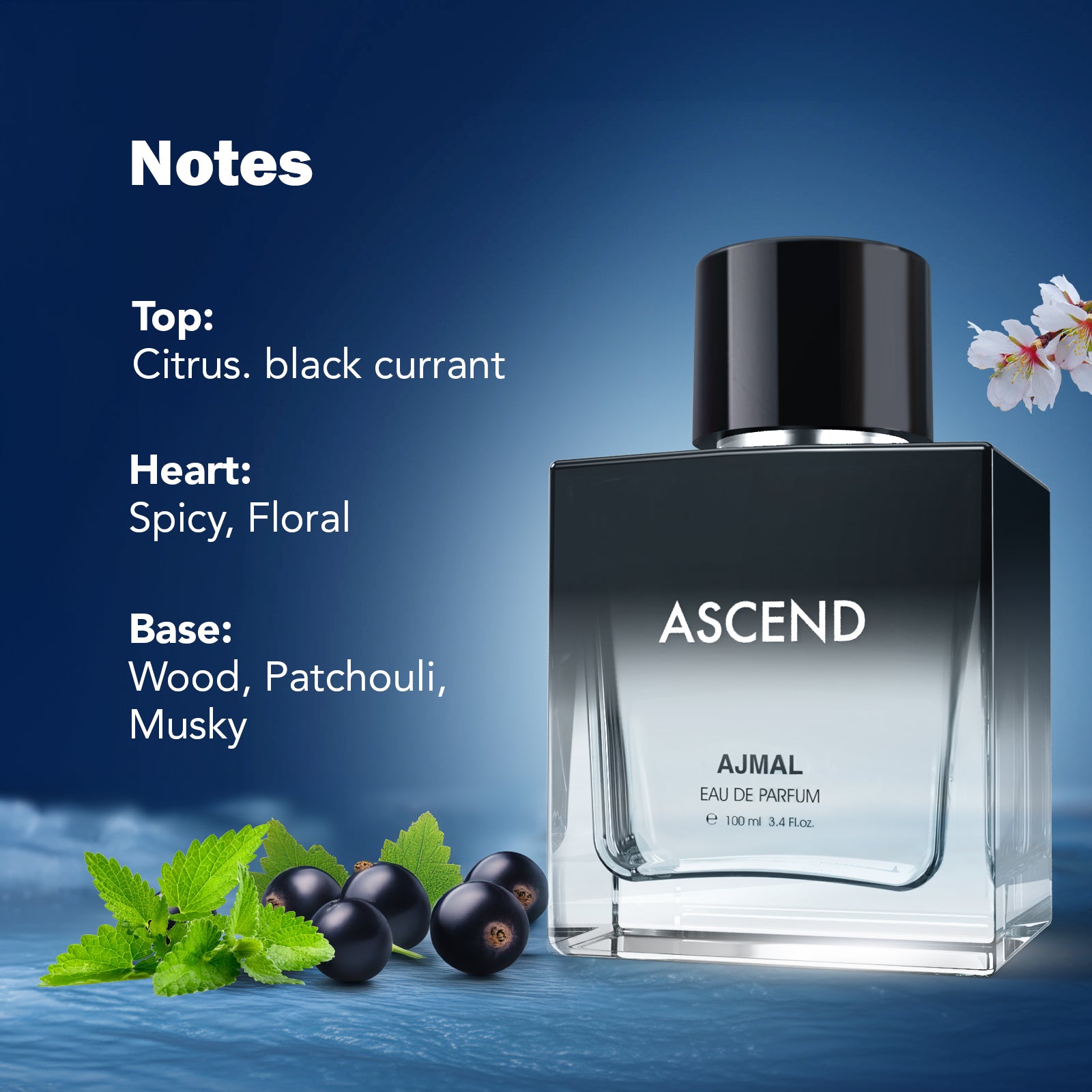 Ascend Eau de Parfum Perfume 100ML For Unisex