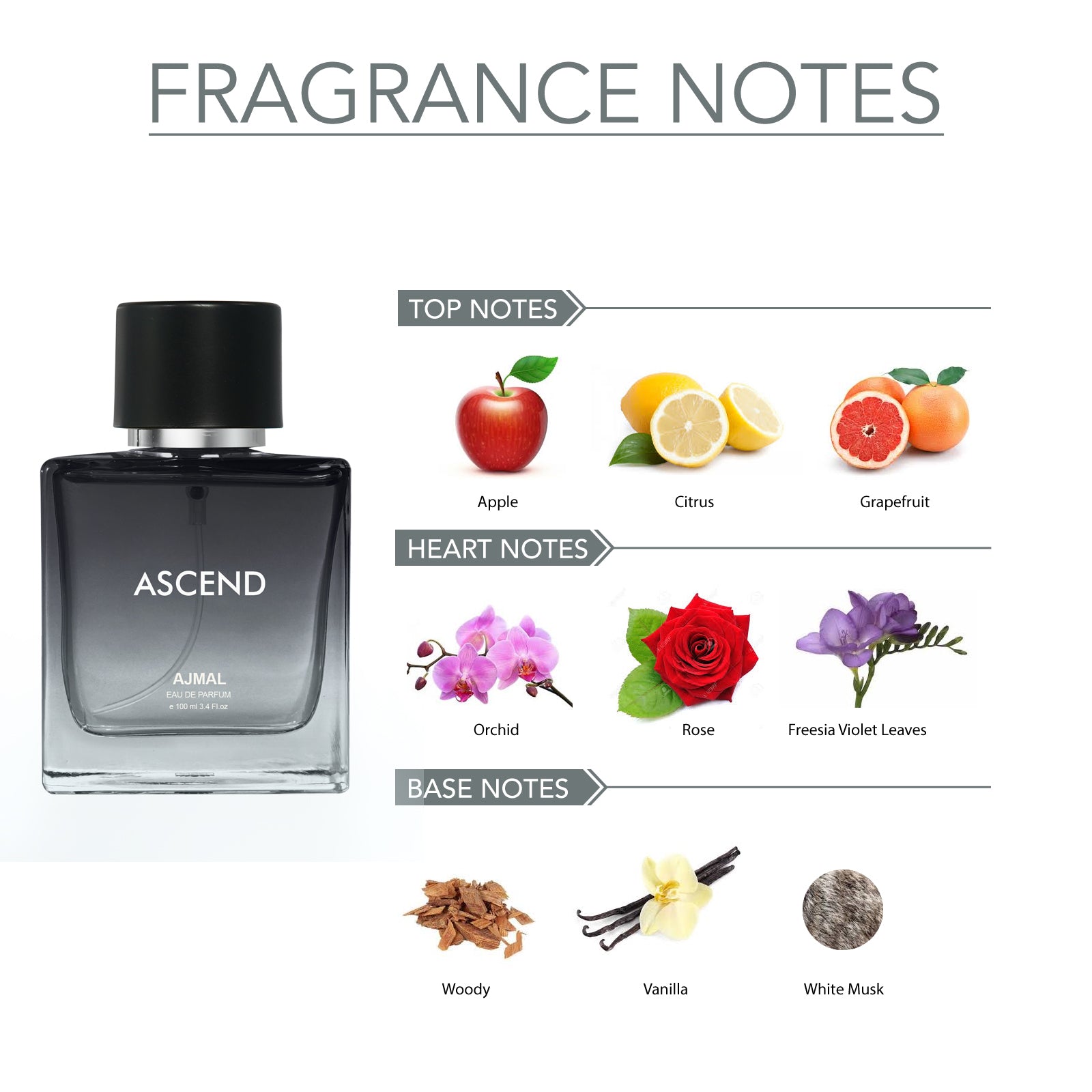 Ascend Eau de Parfum Perfume 100ML For Unisex