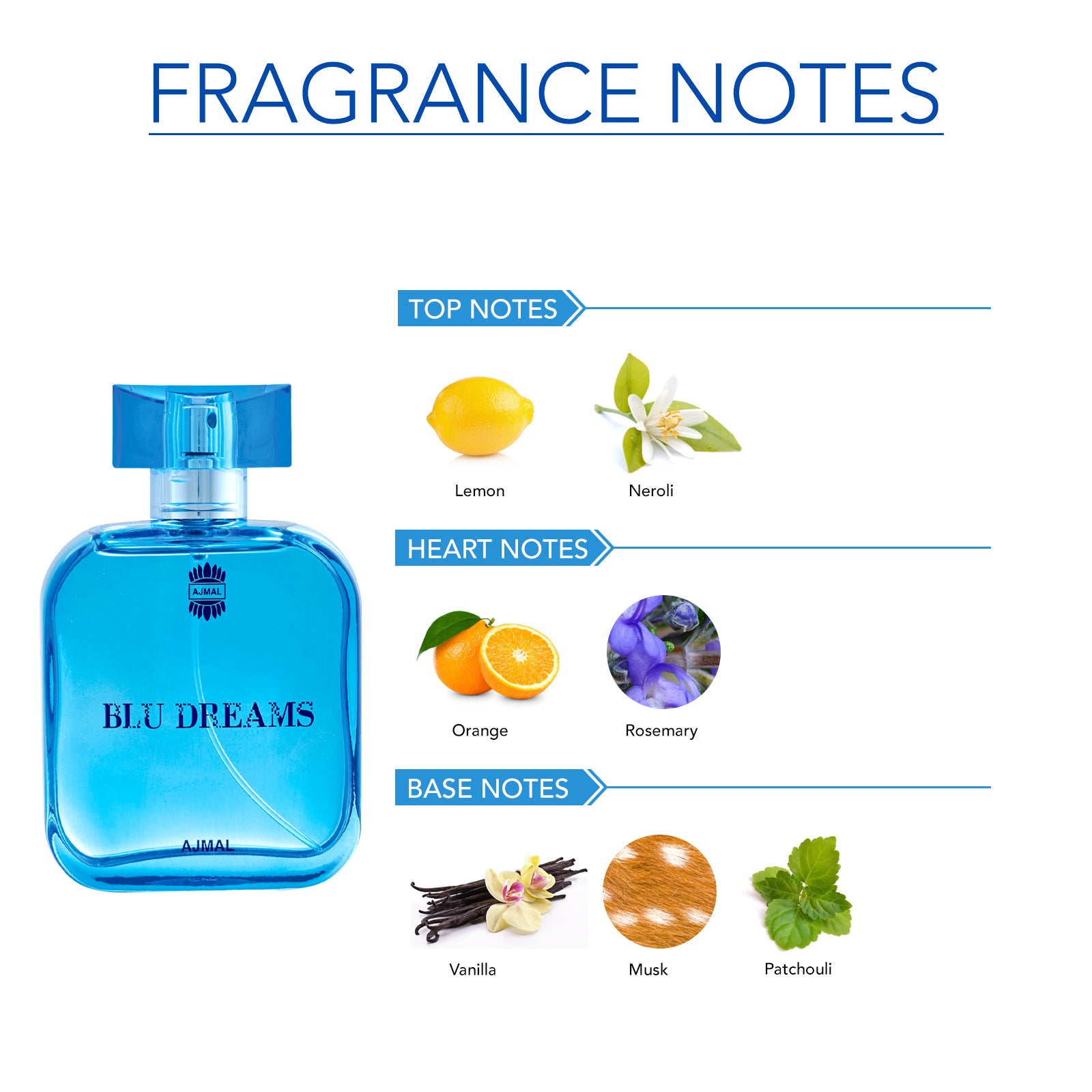 Blu EDP Aquatic Woody Perfume 90ml for Men and Blu Dreams EDP Citurs Fruity Perfume 100ml for Men Pack of 2