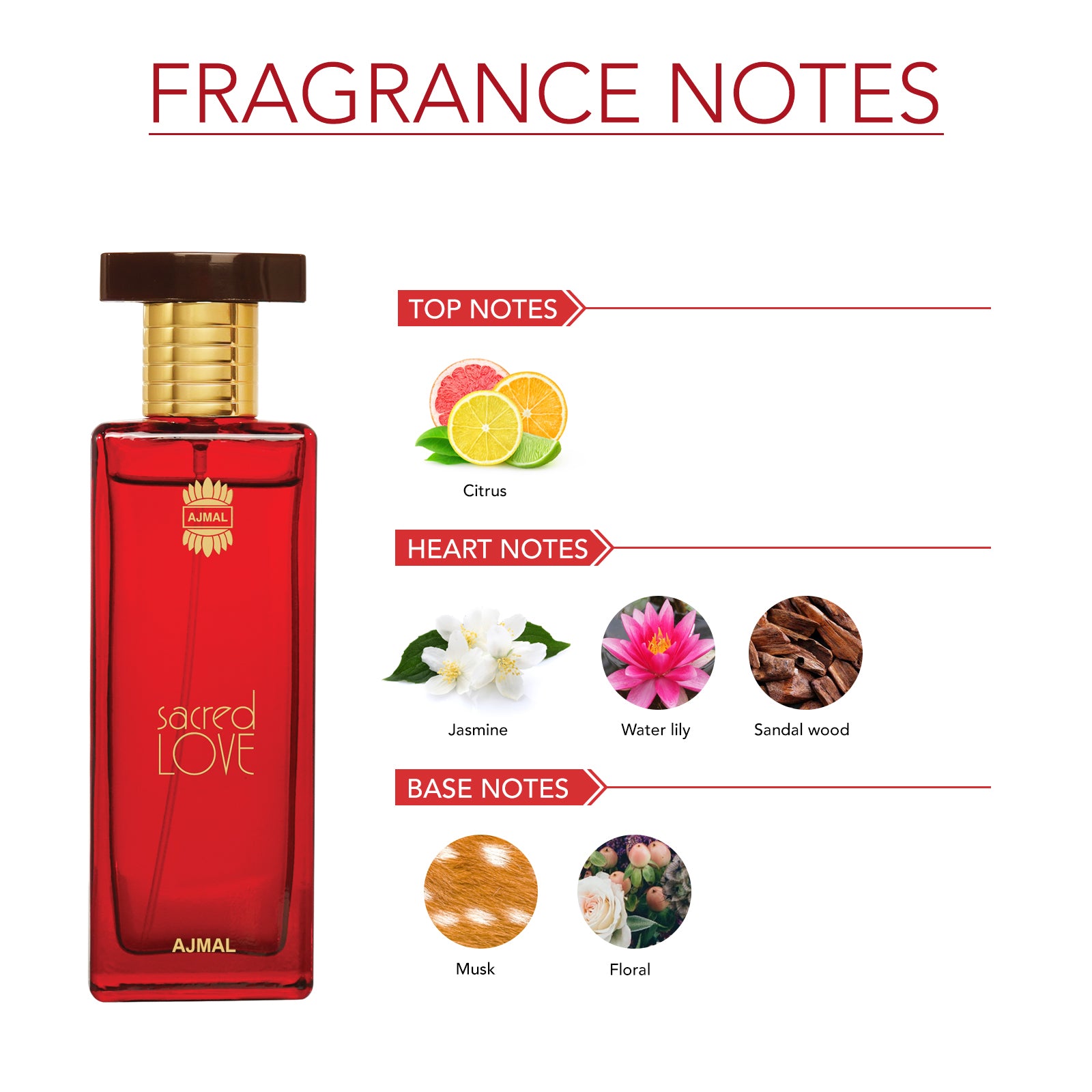 Raindrops EDP Floral Chypre Perfume 50ml for Women and Sacred Love EDP Floral Musky Perfume 50ml for Women Pack of 2